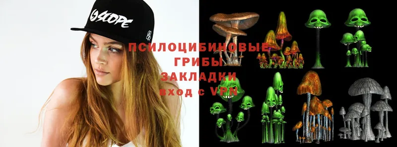 Псилоцибиновые грибы Psilocybe  Норильск 